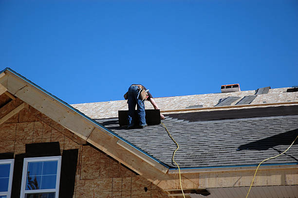 Best Storm Damage Roof Repair  in Edgerton, KS